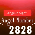 2828 angel number