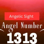 1313 Angel Number