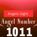 1011 Angel Number